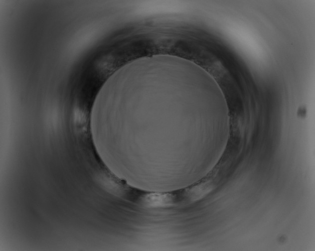 X0000102830526200809021316