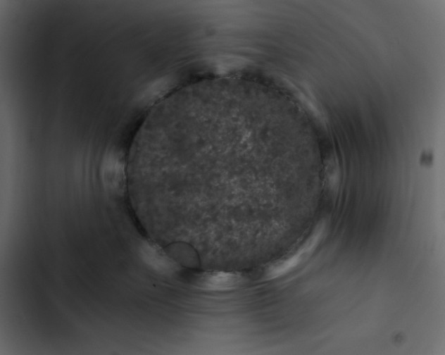 X0000102830527200809021316