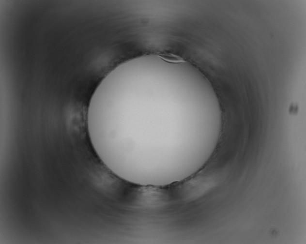 X0000102830528200809021316