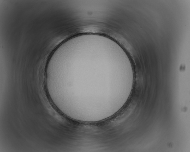 X0000102830529200809021316