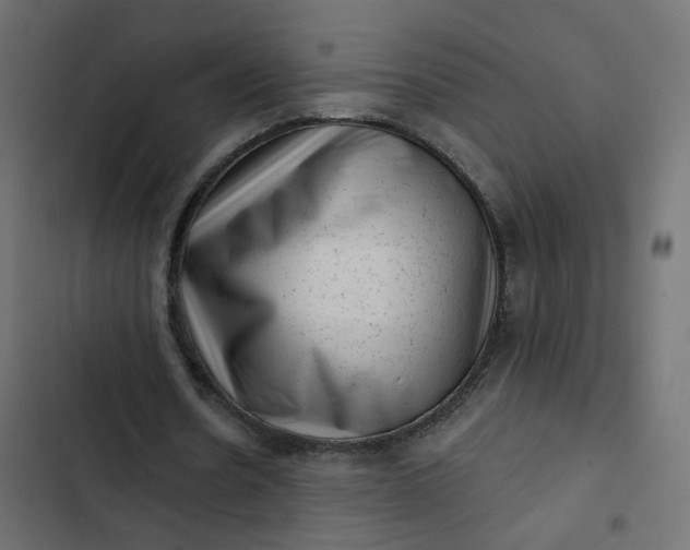 X0000102830530200809021316