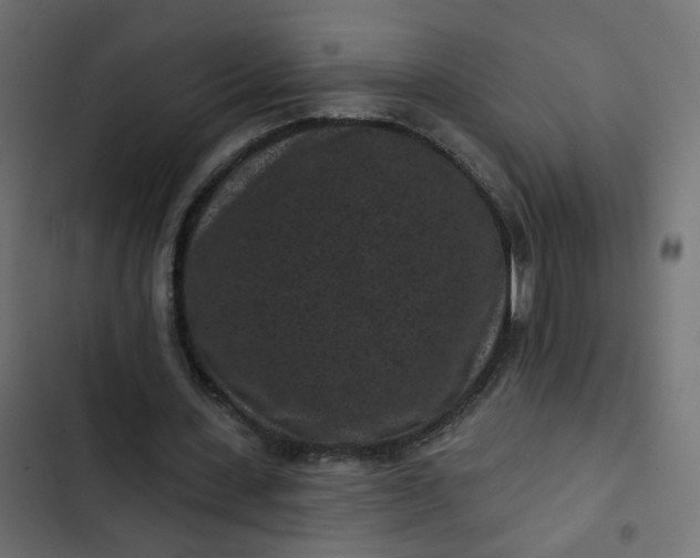 X0000102830531200809021316