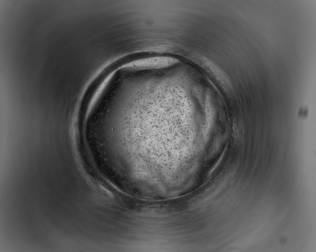 X0000102830532200809021316