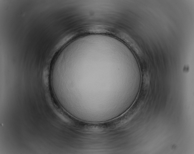 X0000102830533200809021316