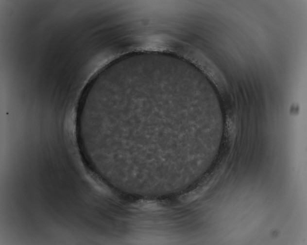 X0000102830534200809021316