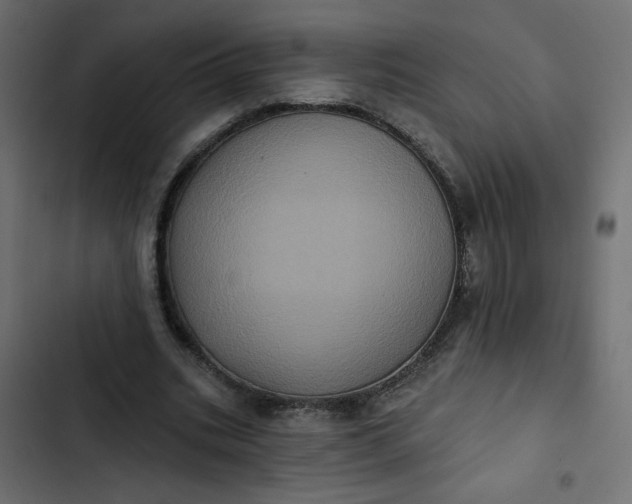 X0000102830535200809021316