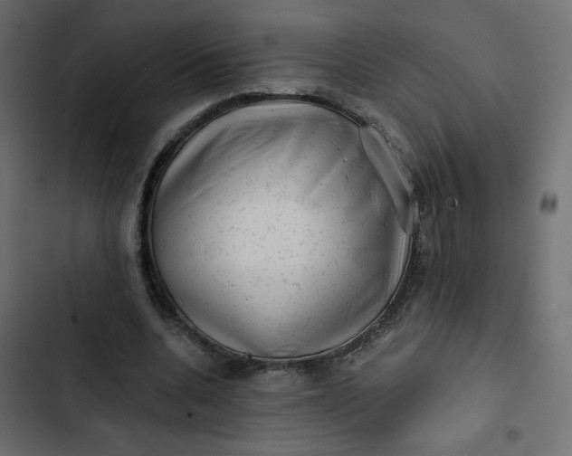 X0000102830536200809021316