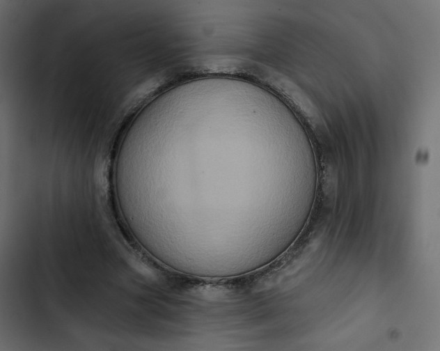 X0000102830537200809021316