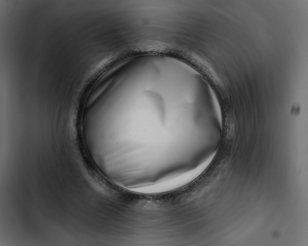 X0000102830538200809021316