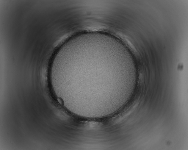 X0000102830539200809021316