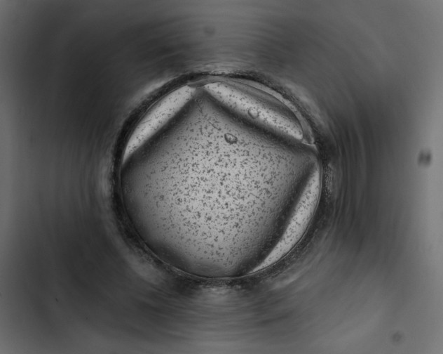 X0000102830540200809021316