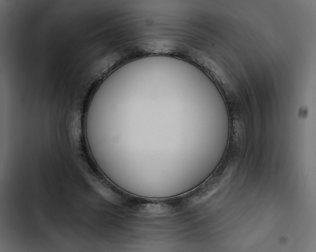 X0000102830541200809021316