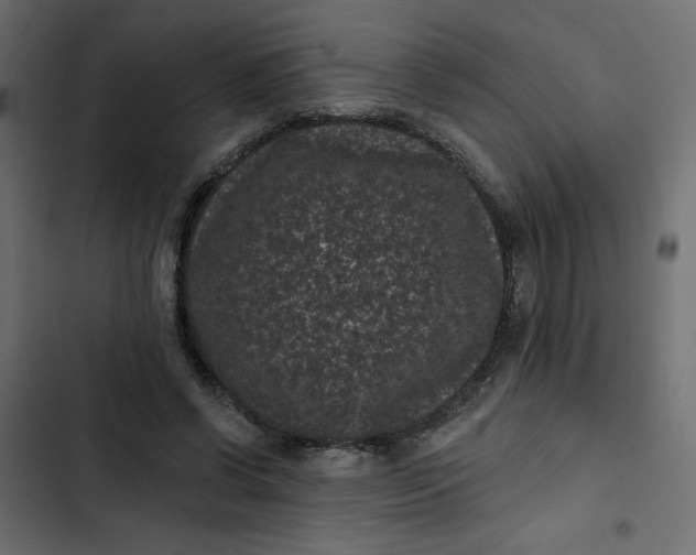 X0000102830542200809021316