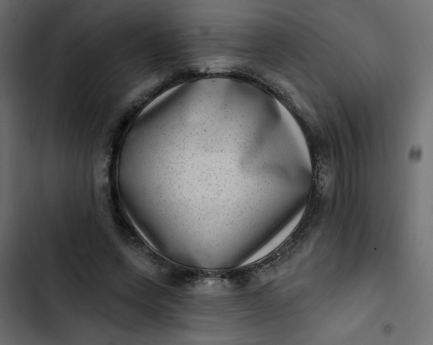 X0000102830543200809021316