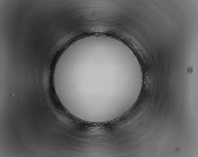 X0000102830544200809021316