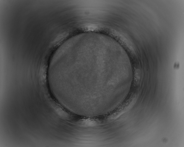 X0000102830545200809021316