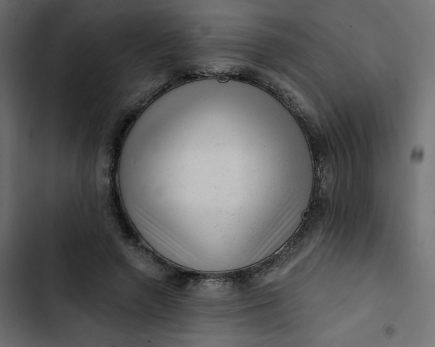 X0000102830546200809021316