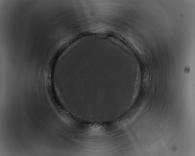 X0000102830547200809021316