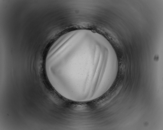 X0000102830548200809021316