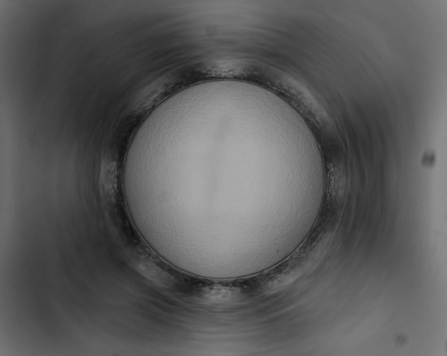 X0000102830549200809021316