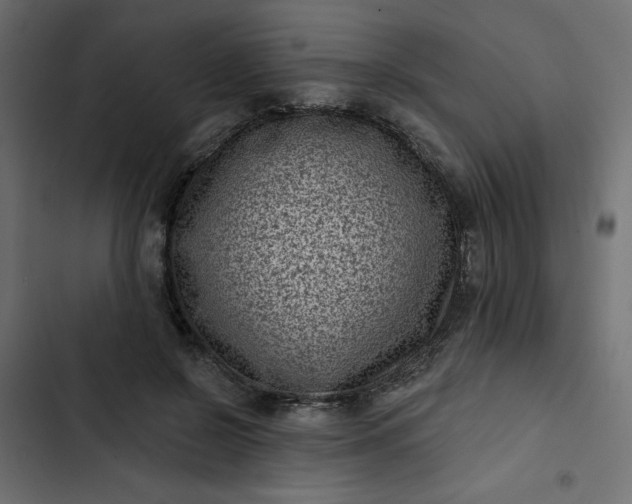 X0000102830550200809021316