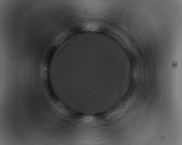 X0000102830551200809021316