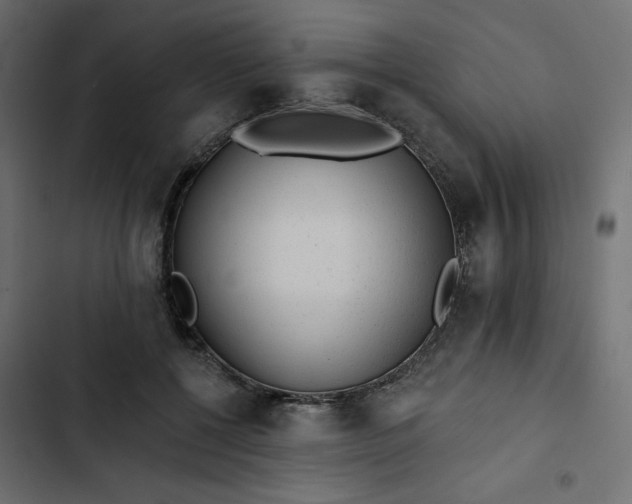 X0000102830552200809021316