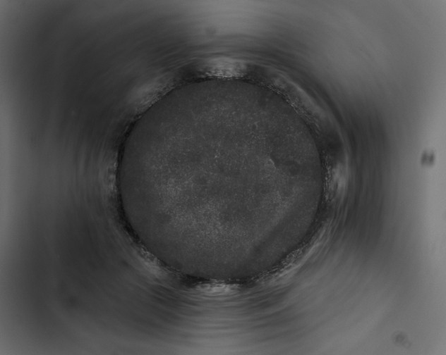 X0000102830553200809021316