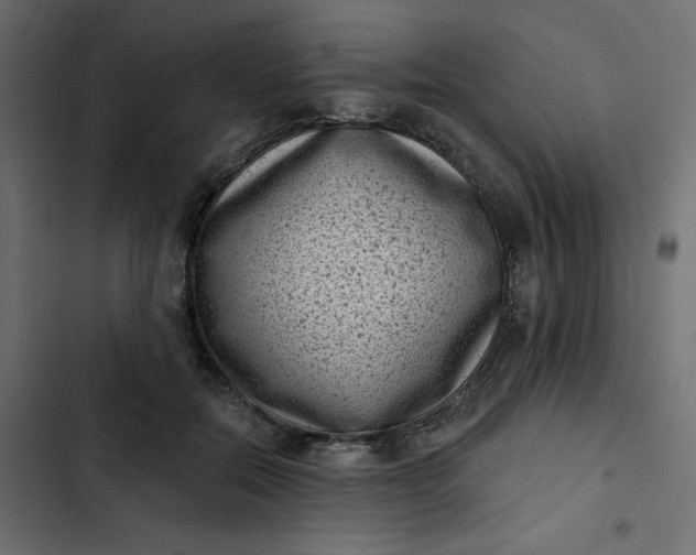 X0000102830554200809021316