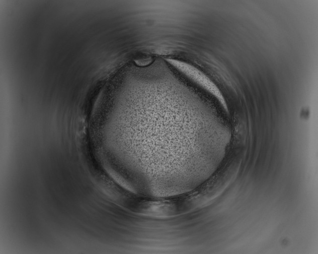 X0000102830555200809021316