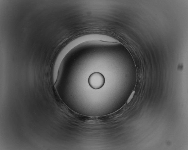 X0000102830556200809021316