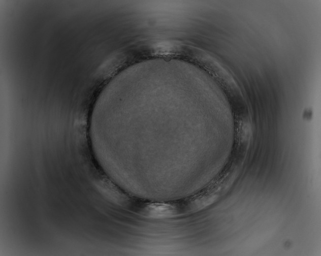 X0000102830557200809021316