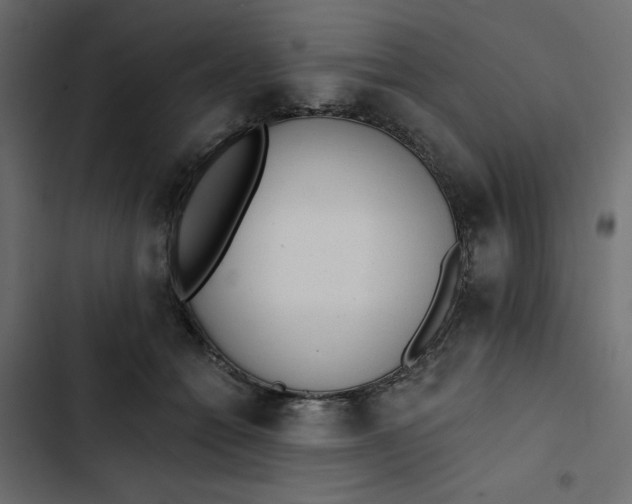 X0000102830558200809021316