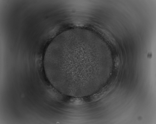 X0000102830559200809021316