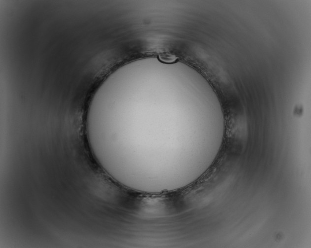 X0000102830560200809021316