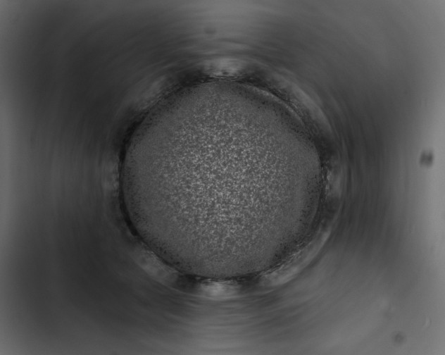 X0000102830561200809021316