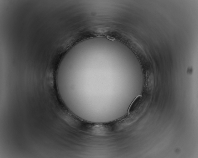 X0000102830562200809021316