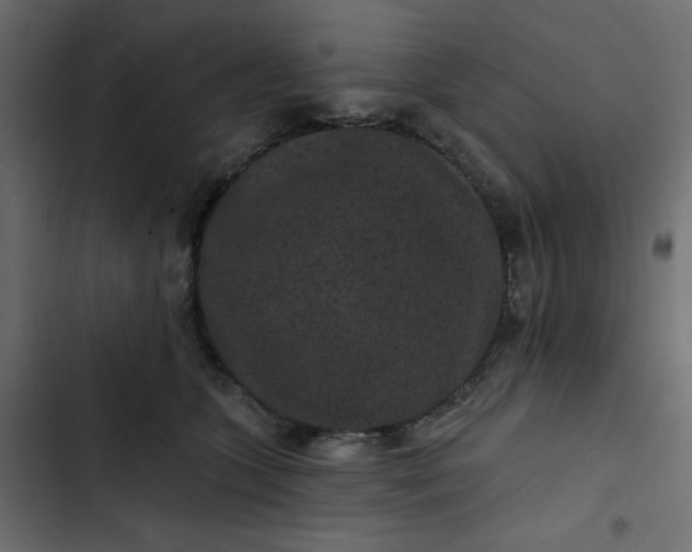 X0000102830563200809021316