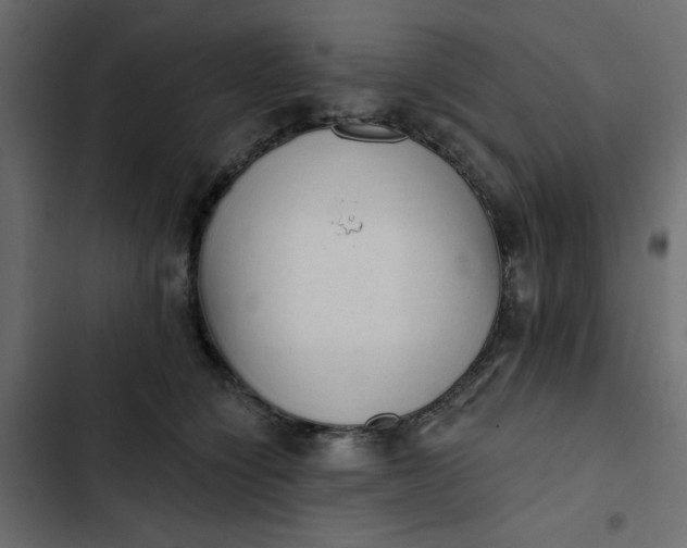 X0000102830564200809021316