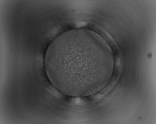 X0000102830565200809021316