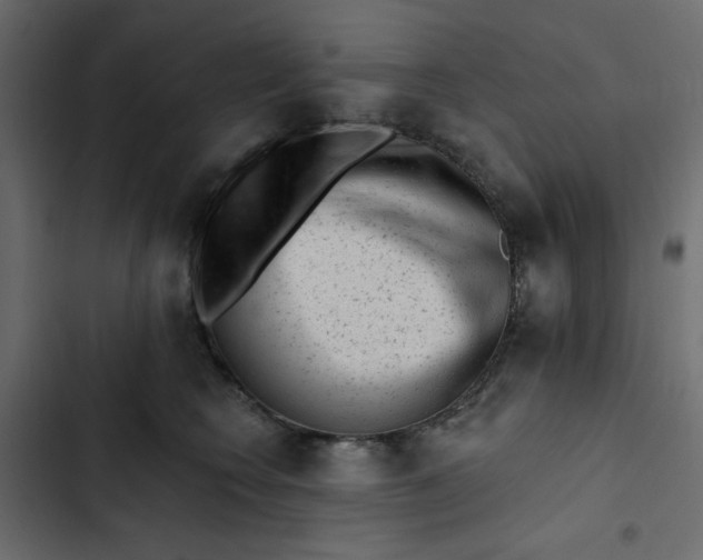 X0000102830566200809021316