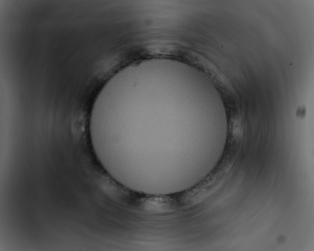 X0000102830567200809021316