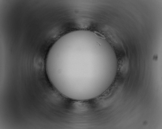 X0000102830568200809021316