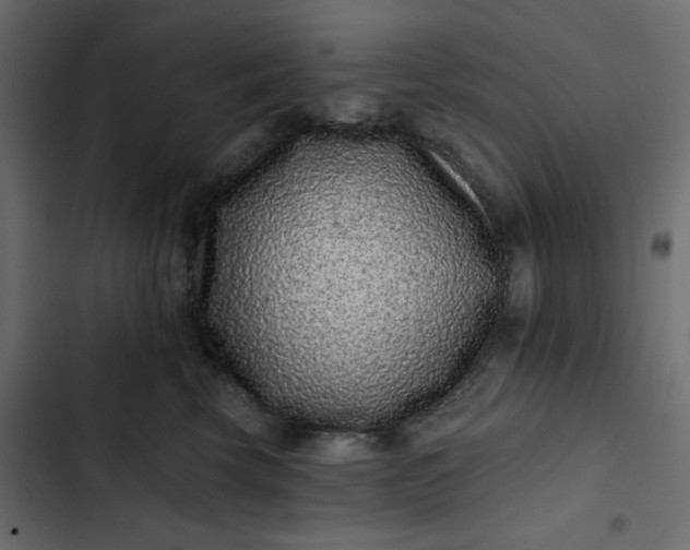 X0000102830569200809021316