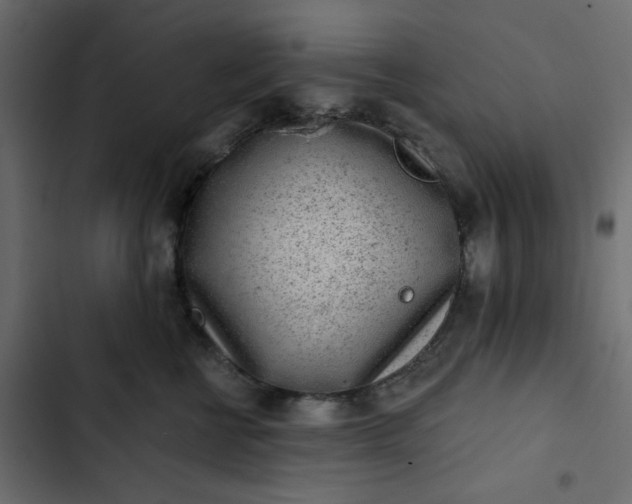 X0000102830570200809021316