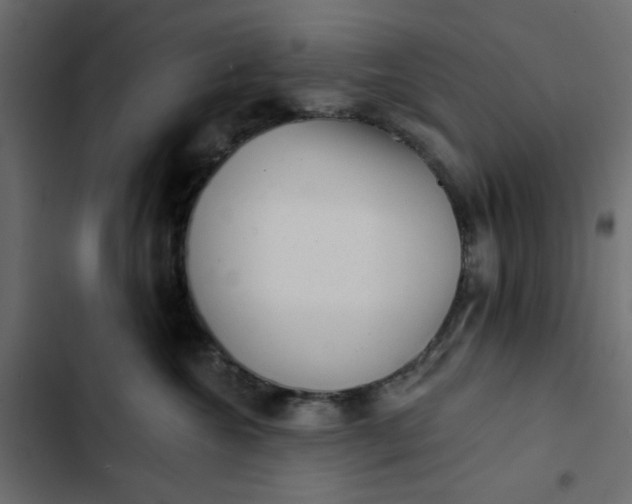 X0000102830572200809021316