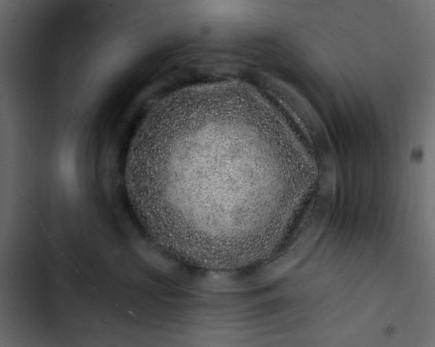 X0000102830573200809021316