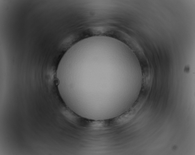 X0000102830574200809021316