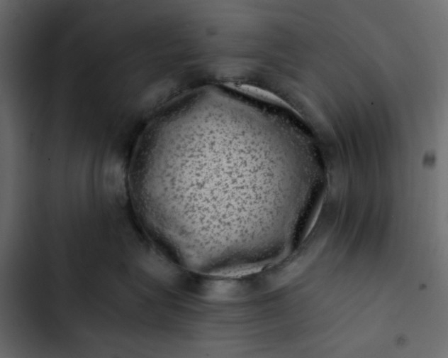 X0000102830575200809021316