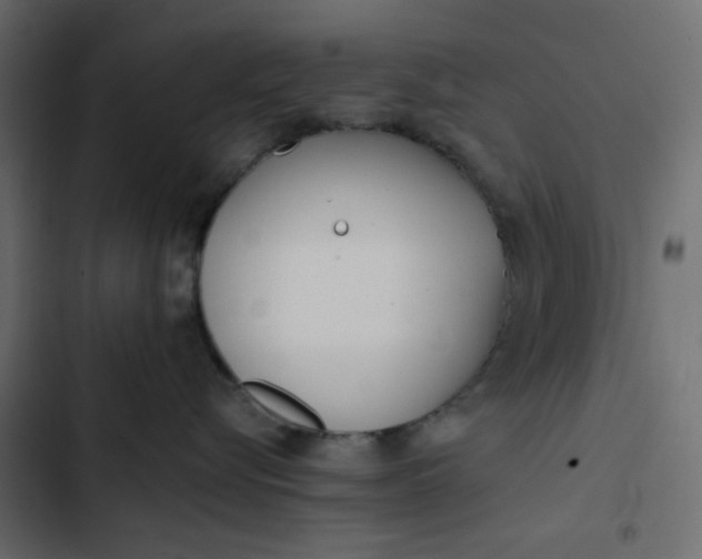 X0000102830576200809021316